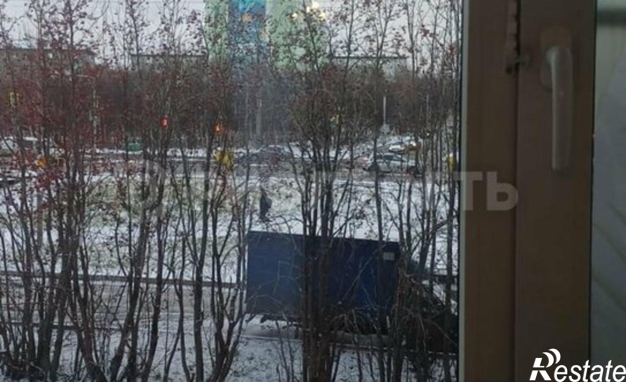 Купить квартиру за 4 650 000 рублей на Кольский проспект, 151