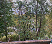 1-комн, 31кв м, этаж 1/5 жилой район Дровяное