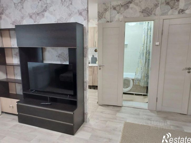 1-комн квартира ул Радищева, 19,  д. 19