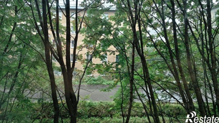2-комн квартира ул Полухина, 11,  д. 11